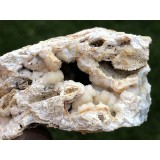 Chalcedon